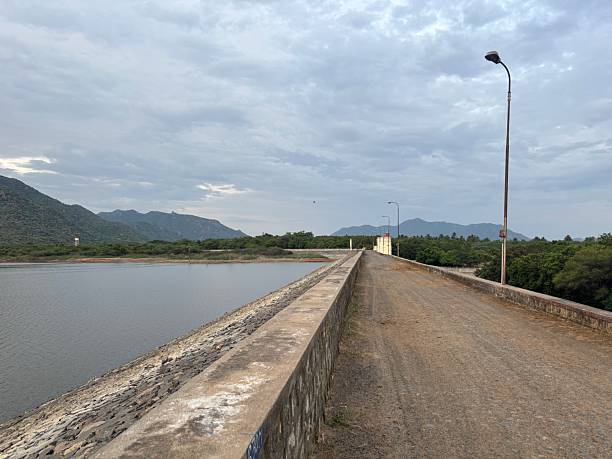 Can weather swings in Indianapolis trigger sudden indoor ant activity?