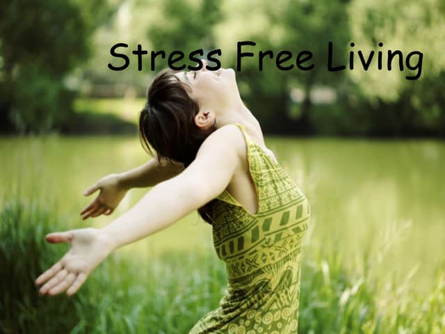 The Art of Living Well Without Stress