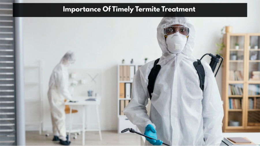 Importance Of Timely Termite Treatment
